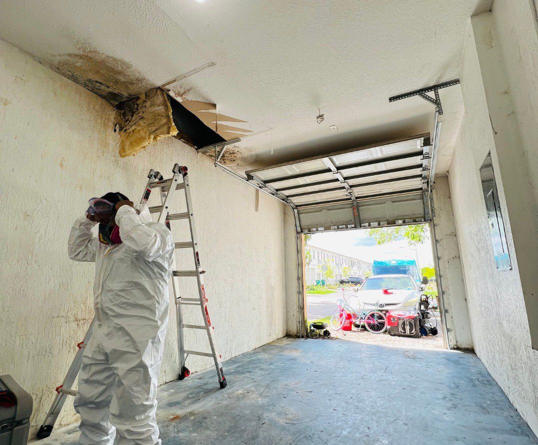 All Dry Services Leak Detection Team Member