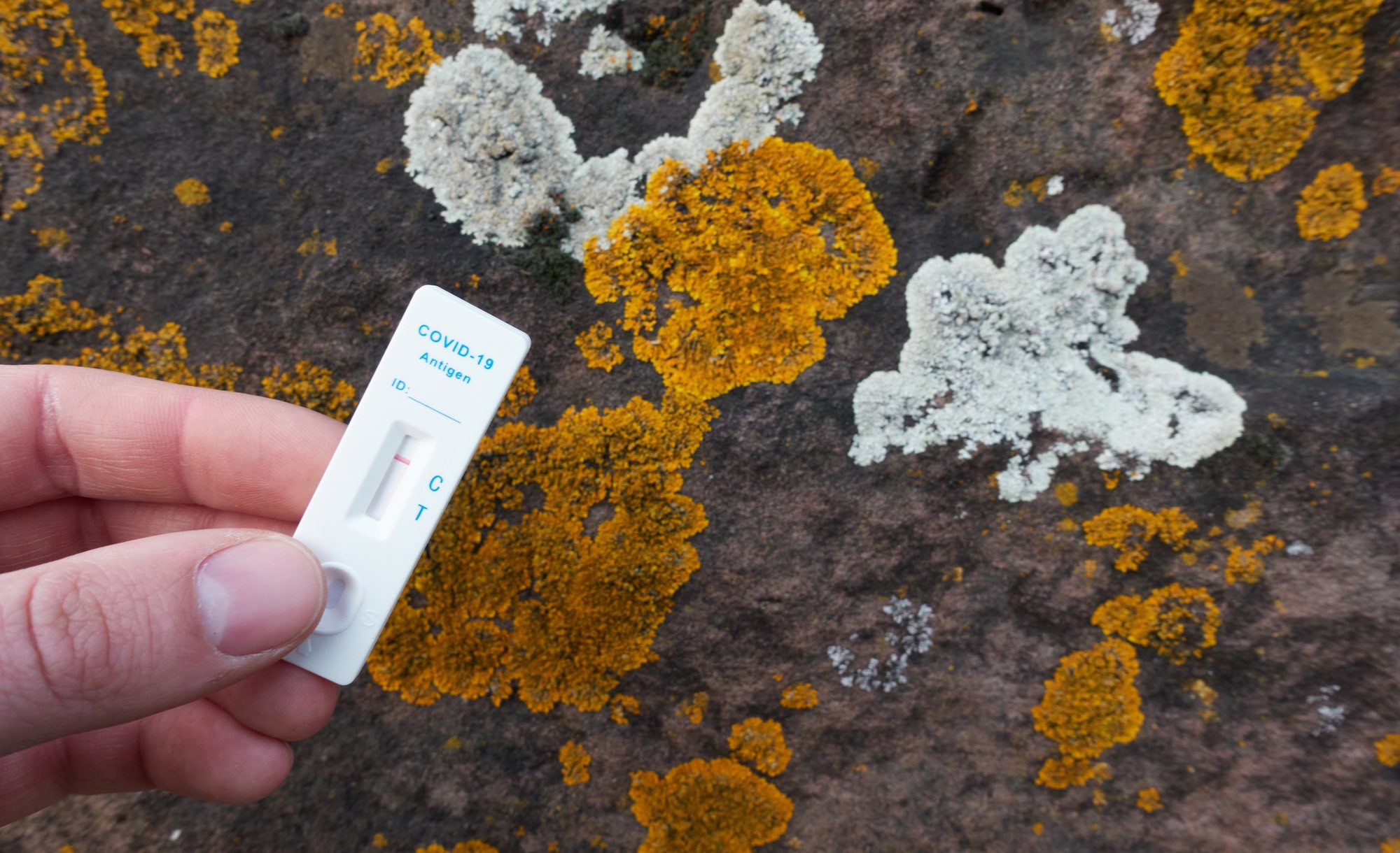 Man holding a white antigen test cassette showing negative result against white and orange fungus