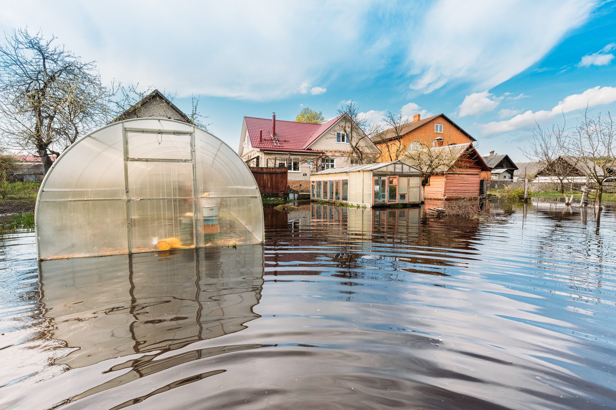 Vegetable Garden Beds In Water During Spring Flood floodwaters during natural disaster. Greenhouse
